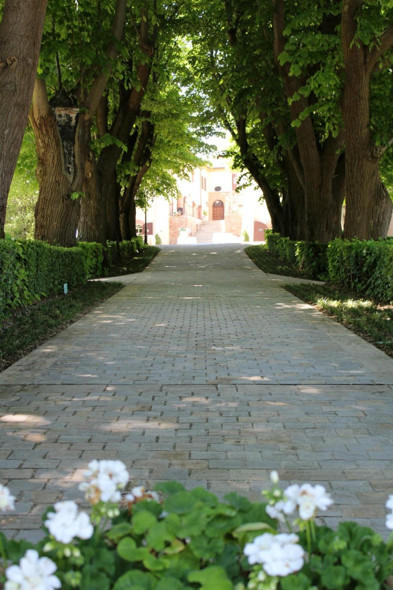 Palazzo Del Poggiano Bed and Breakfast Poggio Berni Eksteriør billede